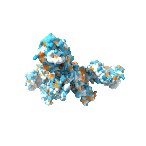 Crystal structure of the trimeric prefusion Ebola virus glycoprotein in complex with a neutralizing antibody from a human survivor — Image 7 of 13