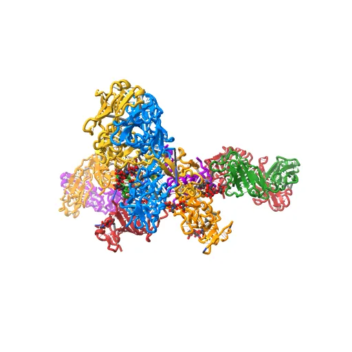 Crystal structure of the trimeric prefusion Ebola virus glycoprotein in complex with a neutralizing antibody from a human survivor — Image 8 of 13