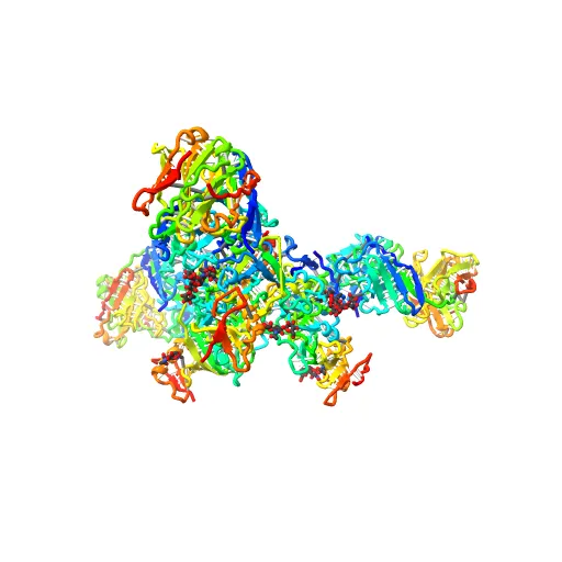 Crystal structure of the trimeric prefusion Ebola virus glycoprotein in complex with a neutralizing antibody from a human survivor — Image 9 of 13