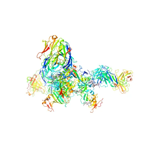 Crystal structure of the trimeric prefusion Ebola virus glycoprotein in complex with a neutralizing antibody from a human survivor — Image 10 of 13