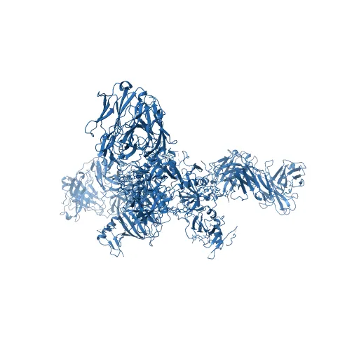 Crystal structure of the trimeric prefusion Ebola virus glycoprotein in complex with a neutralizing antibody from a human survivor — Image 13 of 13
