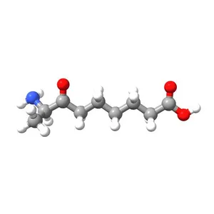 8-Amino-7-oxononanoic acid
