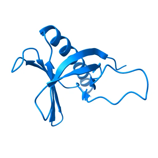 Crystal structure of the pleckstrin homology domain of PKB alpha — Image 3 of 13