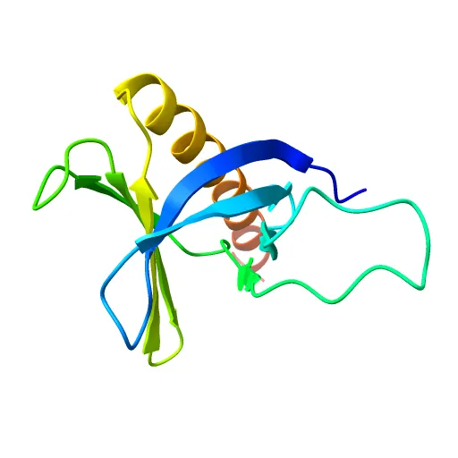Crystal structure of the pleckstrin homology domain of PKB alpha — Image 5 of 13