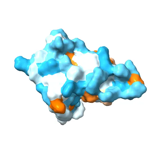 Crystal structure of the pleckstrin homology domain of PKB alpha — Image 8 of 13