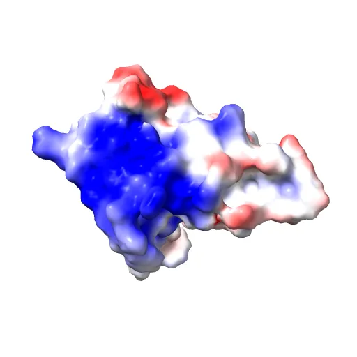 Crystal structure of the pleckstrin homology domain of PKB alpha — Image 10 of 13