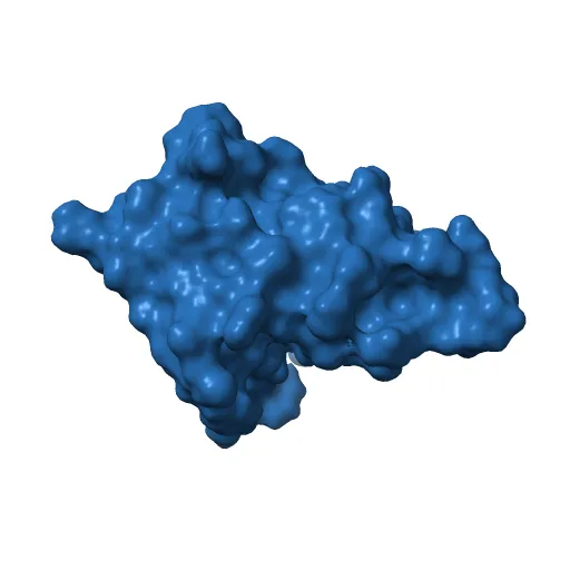 Crystal structure of the pleckstrin homology domain of PKB alpha — Image 12 of 13