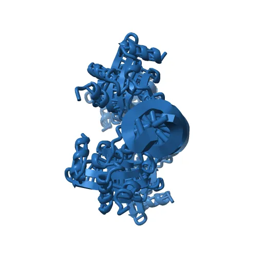 Crystal Structures of Two Intermediates in the Assembly of the Papillomavirus Replication Initiation Complex — Image 2 of 13