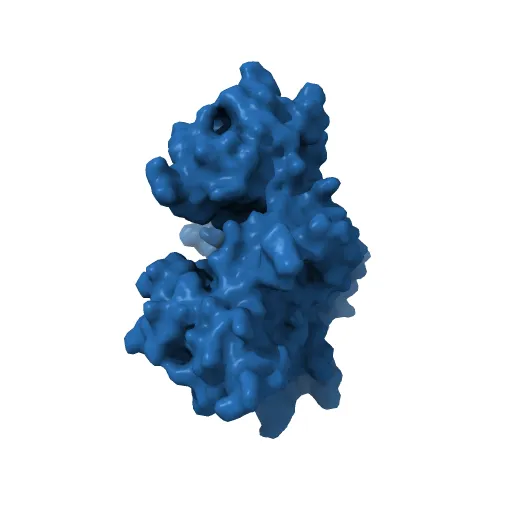 Crystal Structures of Two Intermediates in the Assembly of the Papillomavirus Replication Initiation Complex — Image 12 of 13