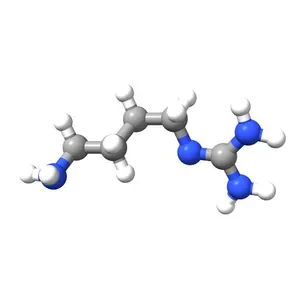 Agmatine