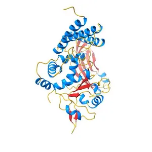 The X-ray Structure of the Papillomavirus Helicase in Complex with its Molecular Matchmaker E2