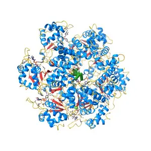 Crystal structure of papillomavirus E1 hexameric helicase with ssDNA and MgADP