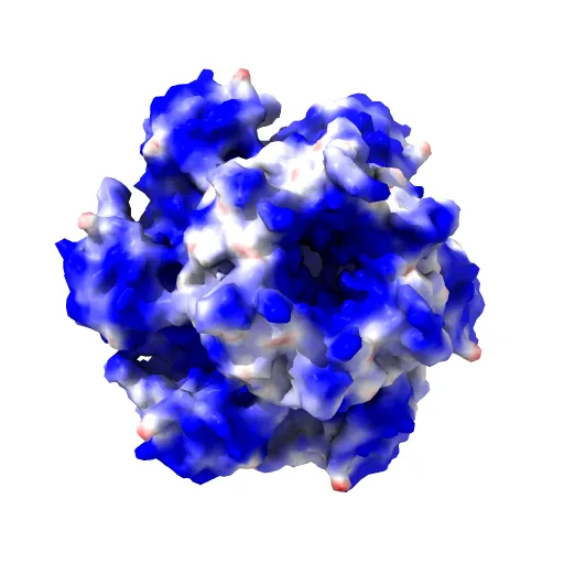 Crystal structure of papillomavirus E1 hexameric helicase with ssDNA and MgADP — Image 3 of 13