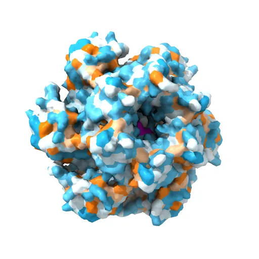 Crystal structure of papillomavirus E1 hexameric helicase with ssDNA and MgADP — Image 4 of 13