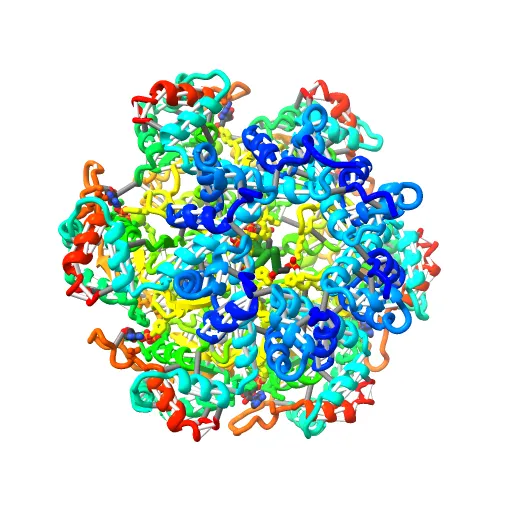 Crystal structure of papillomavirus E1 hexameric helicase with ssDNA and MgADP — Image 6 of 13