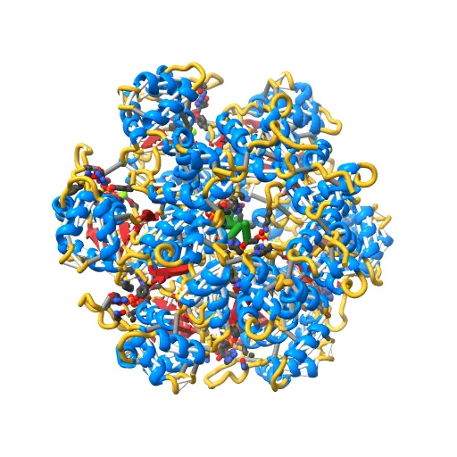 Crystal structure of papillomavirus E1 hexameric helicase with ssDNA and MgADP — Image 8 of 13
