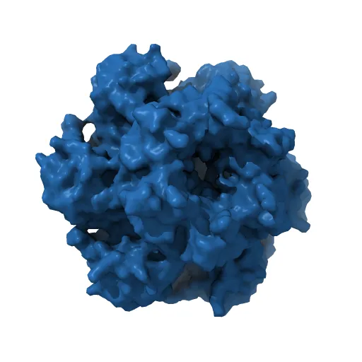 Crystal structure of papillomavirus E1 hexameric helicase with ssDNA and MgADP — Image 10 of 13