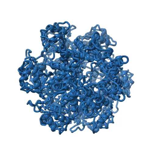 Crystal structure of papillomavirus E1 hexameric helicase with ssDNA and MgADP — Image 11 of 13