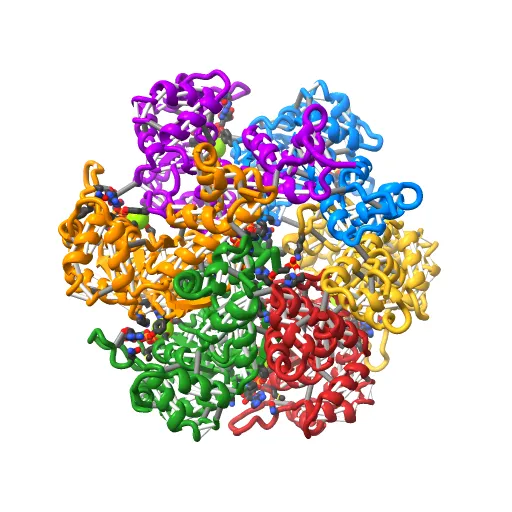 Crystal structure of papillomavirus E1 hexameric helicase with ssDNA and MgADP — Image 12 of 13