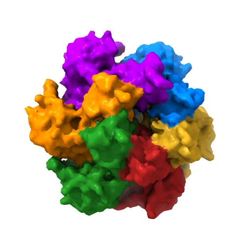 Crystal structure of papillomavirus E1 hexameric helicase with ssDNA and MgADP — Image 13 of 13