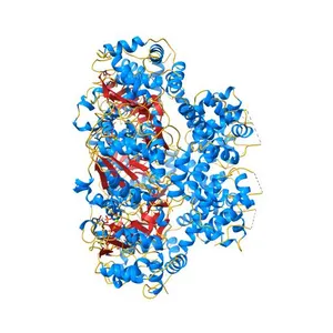 Crystal structure of papillomavirus E1 hexameric helicase DNA-free form