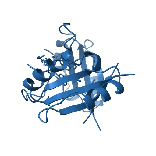 THE CRYSTAL STRUCTURE OF THE E2 DNA-BINDING DOMAIN FROM HUMAN PAPILLOMAVIRUS AT 2.4 ANGSTROMS — Фото 2 из 13