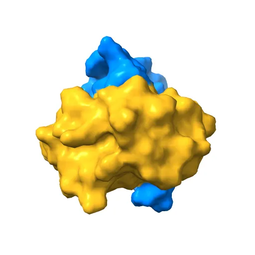 THE CRYSTAL STRUCTURE OF THE E2 DNA-BINDING DOMAIN FROM HUMAN PAPILLOMAVIRUS AT 2.4 ANGSTROMS — Фото 4 из 13