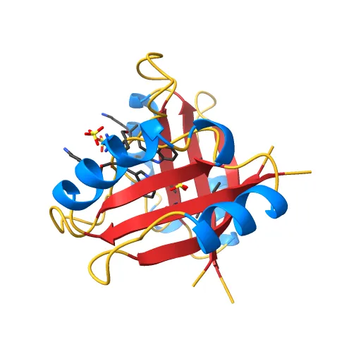 THE CRYSTAL STRUCTURE OF THE E2 DNA-BINDING DOMAIN FROM HUMAN PAPILLOMAVIRUS AT 2.4 ANGSTROMS — Фото 5 из 13