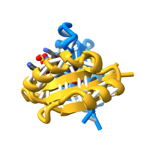 THE CRYSTAL STRUCTURE OF THE E2 DNA-BINDING DOMAIN FROM HUMAN PAPILLOMAVIRUS AT 2.4 ANGSTROMS — Фото 6 из 13