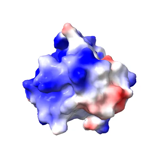 THE CRYSTAL STRUCTURE OF THE E2 DNA-BINDING DOMAIN FROM HUMAN PAPILLOMAVIRUS AT 2.4 ANGSTROMS — Фото 7 из 13