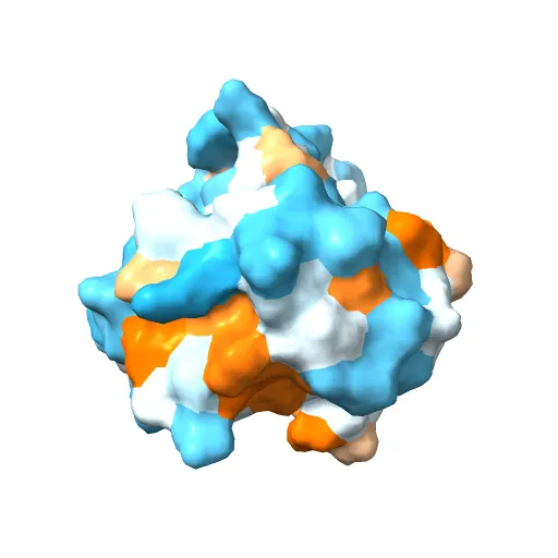 THE CRYSTAL STRUCTURE OF THE E2 DNA-BINDING DOMAIN FROM HUMAN PAPILLOMAVIRUS AT 2.4 ANGSTROMS — Фото 10 из 13