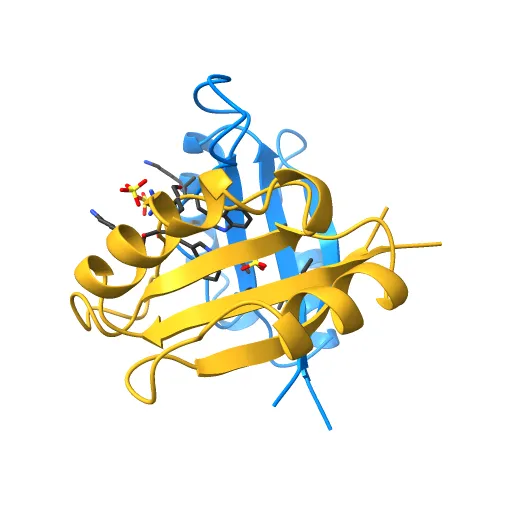 THE CRYSTAL STRUCTURE OF THE E2 DNA-BINDING DOMAIN FROM HUMAN PAPILLOMAVIRUS AT 2.4 ANGSTROMS — Фото 11 из 13