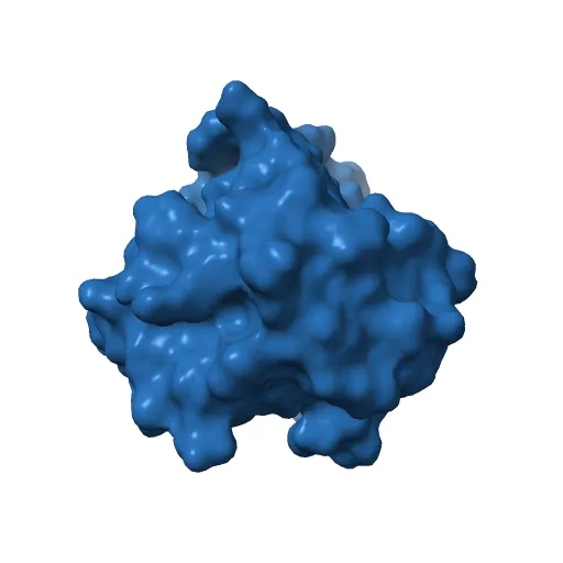 THE CRYSTAL STRUCTURE OF THE E2 DNA-BINDING DOMAIN FROM HUMAN PAPILLOMAVIRUS AT 2.4 ANGSTROMS — Фото 12 из 13