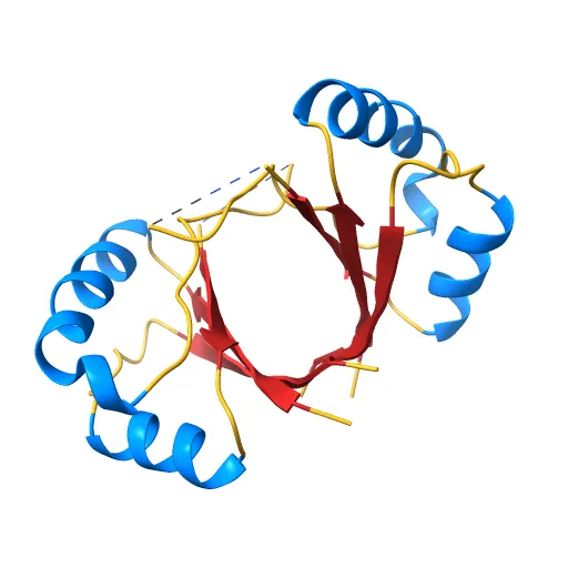 CRYSTAL STRUCTURE OF THE E2 DNA-BINDING DOMAIN FROM HUMAN PAPILLOMAVIRUS TYPE-16: IMPLICATIONS FOR ITS DNA BINDING-SITE SELECTION MECHANISM — Фото 2 из 13