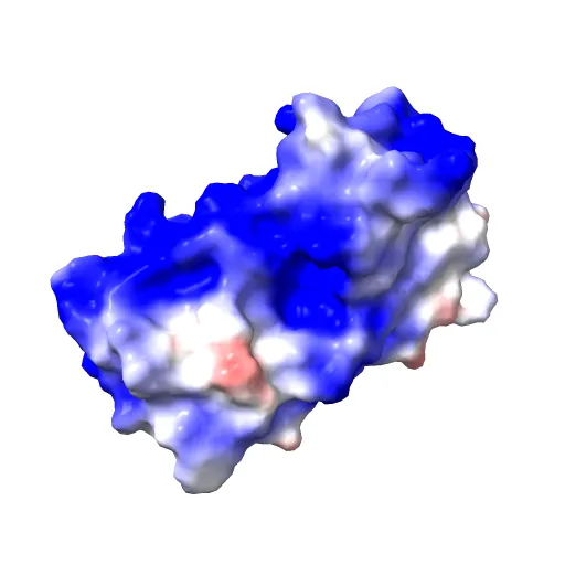 CRYSTAL STRUCTURE OF THE E2 DNA-BINDING DOMAIN FROM HUMAN PAPILLOMAVIRUS TYPE-16: IMPLICATIONS FOR ITS DNA BINDING-SITE SELECTION MECHANISM — Фото 3 из 13