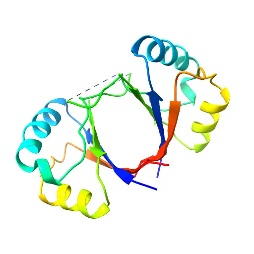 CRYSTAL STRUCTURE OF THE E2 DNA-BINDING DOMAIN FROM HUMAN PAPILLOMAVIRUS TYPE-16: IMPLICATIONS FOR ITS DNA BINDING-SITE SELECTION MECHANISM — Фото 5 из 13