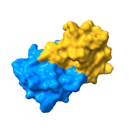 CRYSTAL STRUCTURE OF THE E2 DNA-BINDING DOMAIN FROM HUMAN PAPILLOMAVIRUS TYPE-16: IMPLICATIONS FOR ITS DNA BINDING-SITE SELECTION MECHANISM — Фото 7 из 13
