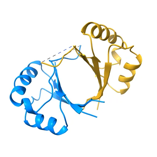 CRYSTAL STRUCTURE OF THE E2 DNA-BINDING DOMAIN FROM HUMAN PAPILLOMAVIRUS TYPE-16: IMPLICATIONS FOR ITS DNA BINDING-SITE SELECTION MECHANISM — Фото 9 из 13