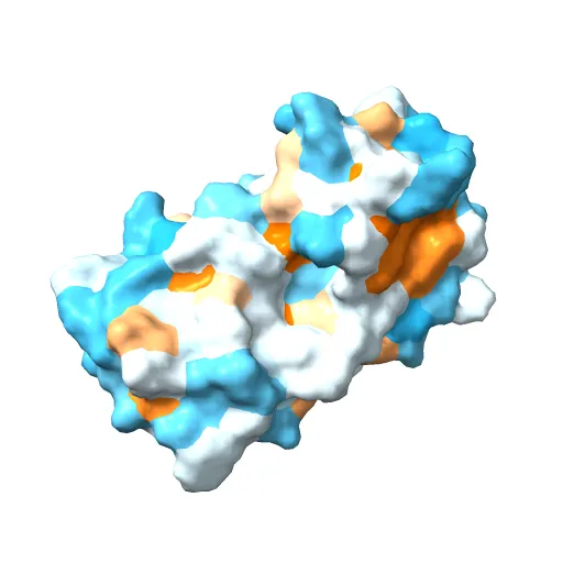 CRYSTAL STRUCTURE OF THE E2 DNA-BINDING DOMAIN FROM HUMAN PAPILLOMAVIRUS TYPE-16: IMPLICATIONS FOR ITS DNA BINDING-SITE SELECTION MECHANISM — Фото 11 из 13
