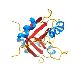 DNA-BINDING DOMAIN OF E2 FROM HUMAN PAPILLOMAVIRUS-31, NMR, MINIMIZED AVERAGE STRUCTURE