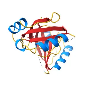 CRYSTAL STRUCTURE OF THE HPV-18 E2 DNA-BINDING DOMAIN