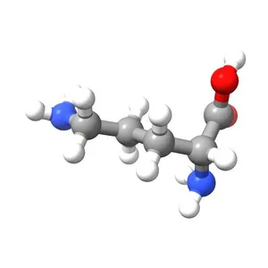 DL-Ornithine