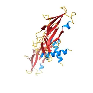 2.1 A CRYSTAL STRUCTURE OF THE HUMAN PAPILLOMAVIRUS TYPE 18 E2 ACTIVATION DOMAIN
