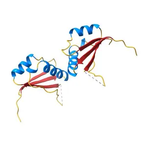 E2 DNA-binding Domain from Bovine Papillomavirus Type 1