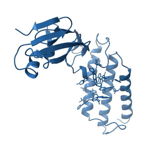 HPV11 E2 TAD complex crystal structure — Image 2 of 13