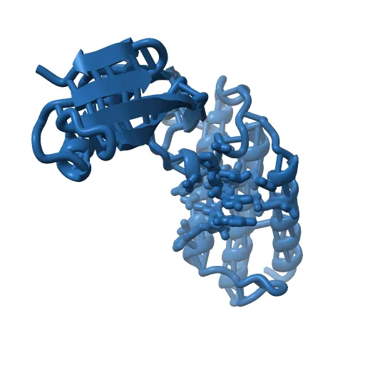 HPV11 E2 TAD complex crystal structure — Image 3 of 13