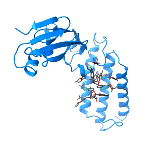 HPV11 E2 TAD complex crystal structure — Image 4 of 13