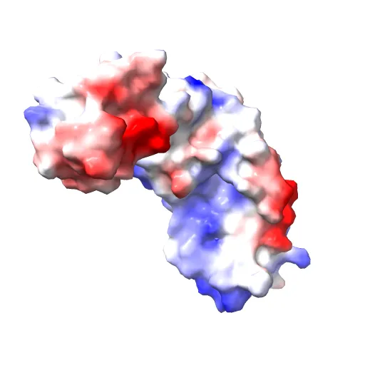HPV11 E2 TAD complex crystal structure — Image 5 of 13