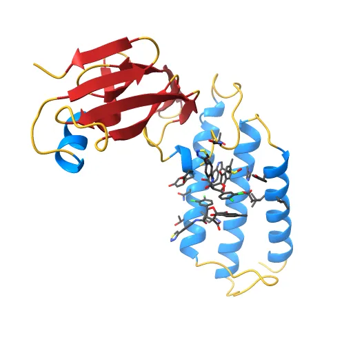 HPV11 E2 TAD complex crystal structure — Image 6 of 13