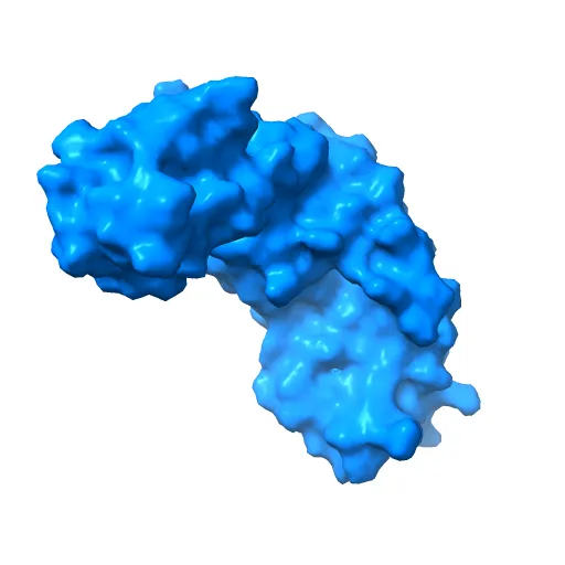 HPV11 E2 TAD complex crystal structure — Image 7 of 13